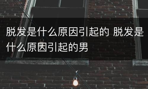 脱发是什么原因引起的 脱发是什么原因引起的男