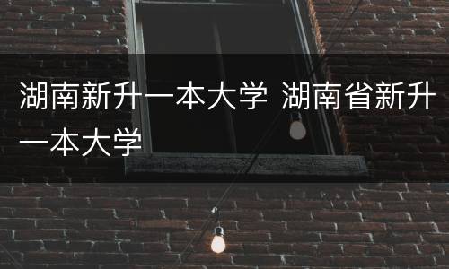 湖南新升一本大学 湖南省新升一本大学