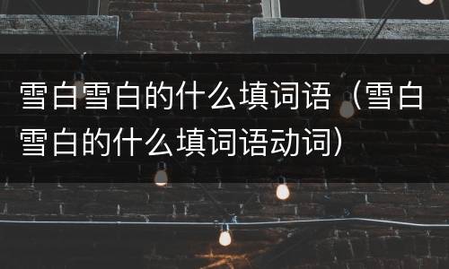 雪白雪白的什么填词语（雪白雪白的什么填词语动词）