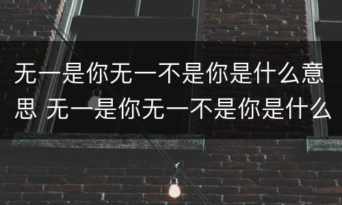 无一是你无一不是你是什么意思 无一是你无一不是你是什么意思?