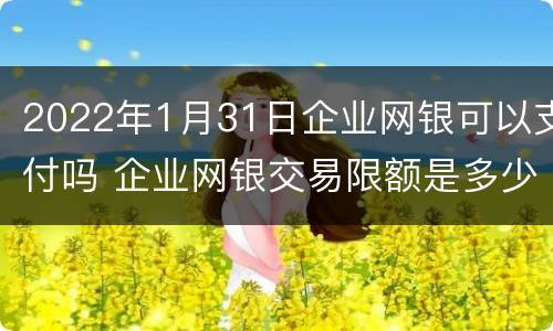 2022年1月31日企业网银可以支付吗 企业网银交易限额是多少