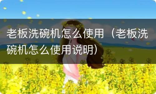 老板洗碗机怎么使用（老板洗碗机怎么使用说明）