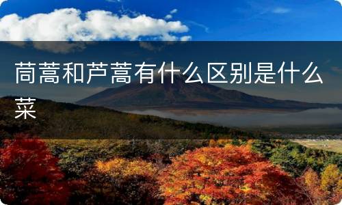 茼蒿和芦蒿有什么区别是什么菜