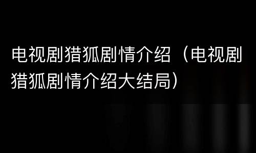 电视剧猎狐剧情介绍（电视剧猎狐剧情介绍大结局）
