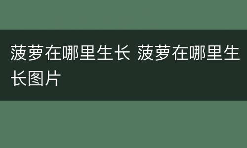菠萝在哪里生长 菠萝在哪里生长图片