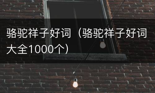 骆驼祥子好词（骆驼祥子好词大全1000个）