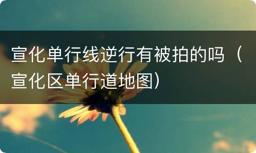 宣化单行线逆行有被拍的吗（宣化区单行道地图）