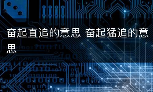 奋起直追的意思 奋起猛追的意思
