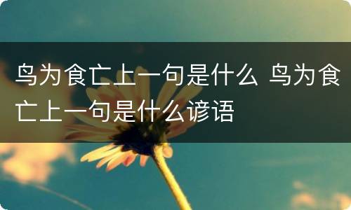鸟为食亡上一句是什么 鸟为食亡上一句是什么谚语