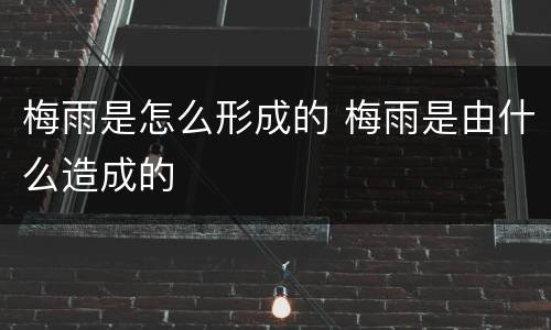 梅雨是怎么形成的 梅雨是由什么造成的