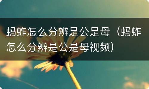 蚂蚱怎么分辨是公是母（蚂蚱怎么分辨是公是母视频）