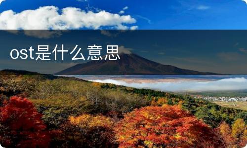 ost是什么意思