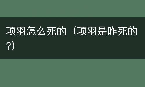 项羽怎么死的（项羽是咋死的?）