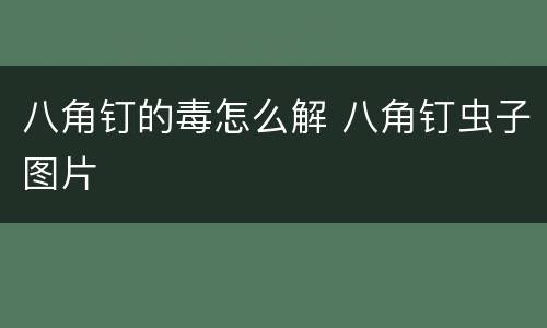 八角钉的毒怎么解 八角钉虫子图片