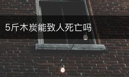 5斤木炭能致人死亡吗