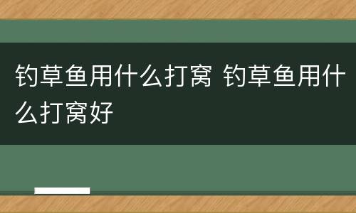 钓草鱼用什么打窝 钓草鱼用什么打窝好