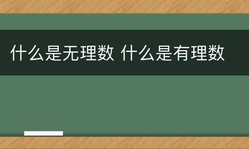 什么是无理数 什么是有理数