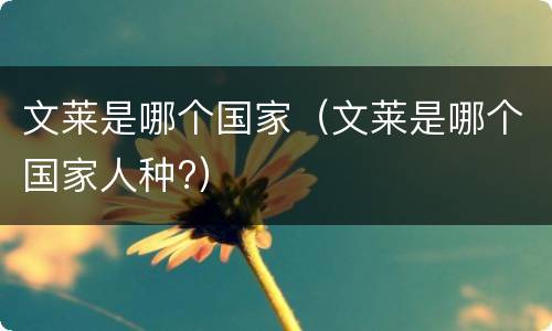 文莱是哪个国家（文莱是哪个国家人种?）