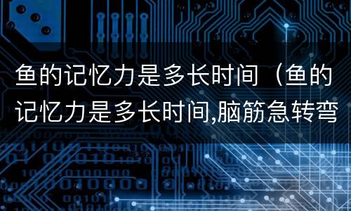 鱼的记忆力是多长时间（鱼的记忆力是多长时间,脑筋急转弯）