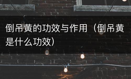 倒吊黄的功效与作用（倒吊黄是什么功效）