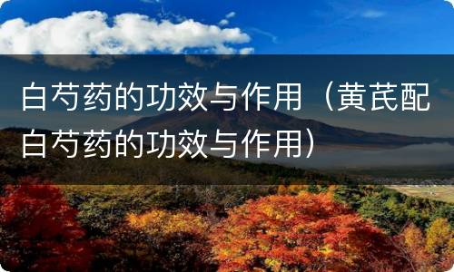 白芍药的功效与作用（黄芪配白芍药的功效与作用）