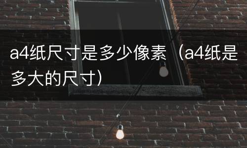 a4纸尺寸是多少像素（a4纸是多大的尺寸）