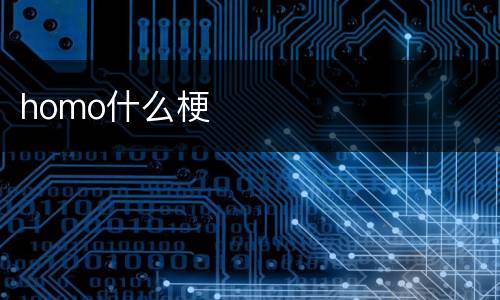 homo什么梗