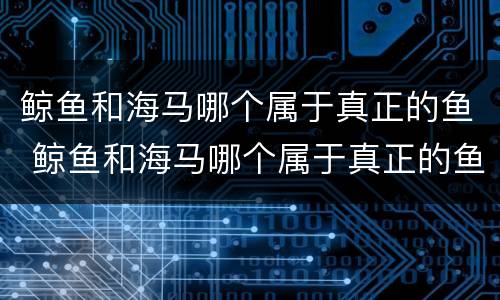 鲸鱼和海马哪个属于真正的鱼 鲸鱼和海马哪个属于真正的鱼种