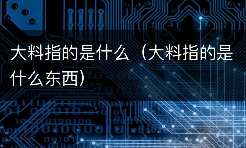 大料指的是什么（大料指的是什么东西）