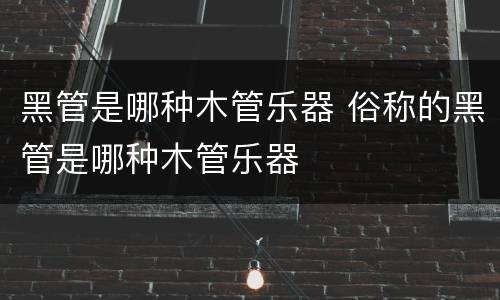 黑管是哪种木管乐器 俗称的黑管是哪种木管乐器