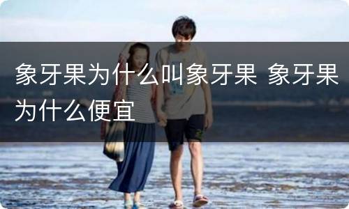 象牙果为什么叫象牙果 象牙果为什么便宜