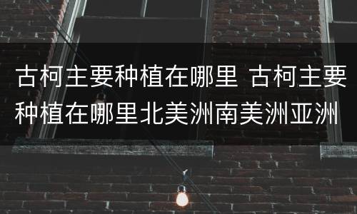 古柯主要种植在哪里 古柯主要种植在哪里北美洲南美洲亚洲非洲