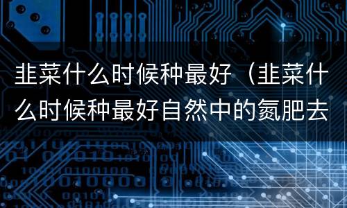 韭菜什么时候种最好（韭菜什么时候种最好自然中的氮肥去哪里找）