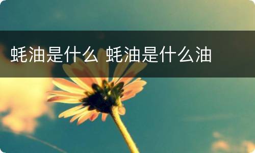 蚝油是什么 蚝油是什么油
