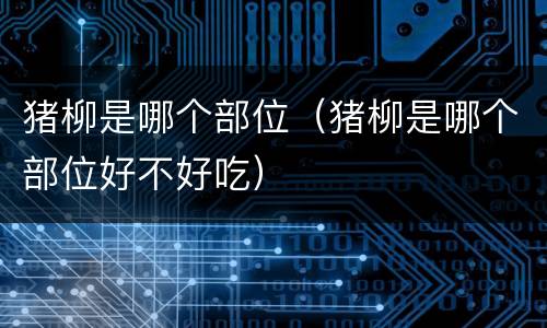 猪柳是哪个部位（猪柳是哪个部位好不好吃）