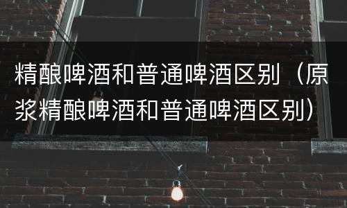 精酿啤酒和普通啤酒区别（原浆精酿啤酒和普通啤酒区别）