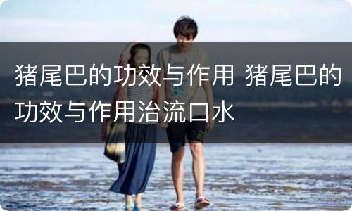 猪尾巴的功效与作用 猪尾巴的功效与作用治流口水