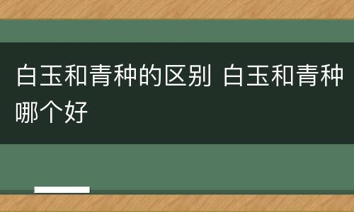 白玉和青种的区别 白玉和青种哪个好