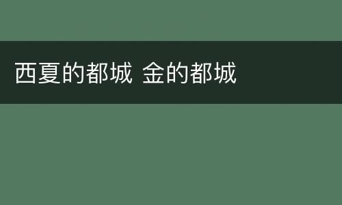 西夏的都城 金的都城