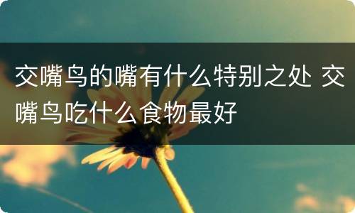 交嘴鸟的嘴有什么特别之处 交嘴鸟吃什么食物最好