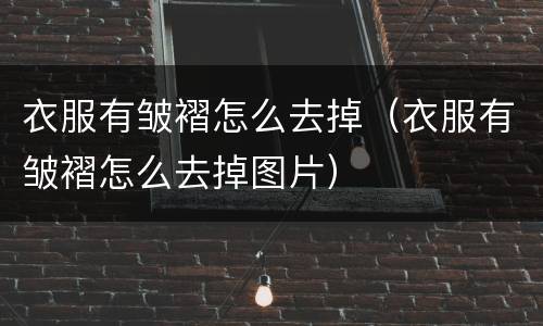 衣服有皱褶怎么去掉（衣服有皱褶怎么去掉图片）
