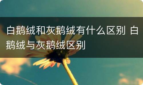 白鹅绒和灰鹅绒有什么区别 白鹅绒与灰鹅绒区别