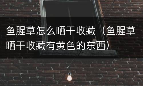 鱼腥草怎么晒干收藏（鱼腥草晒干收藏有黄色的东西）