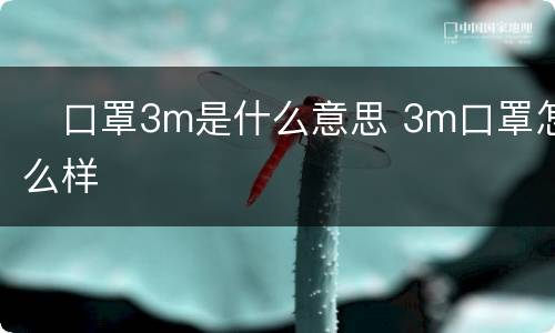 ​口罩3m是什么意思 3m口罩怎么样