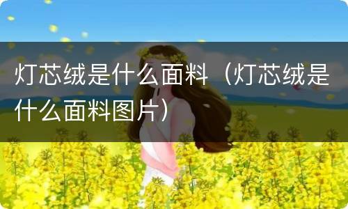 灯芯绒是什么面料（灯芯绒是什么面料图片）