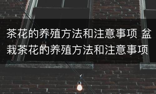 茶花的养殖方法和注意事项 盆栽茶花的养殖方法和注意事项