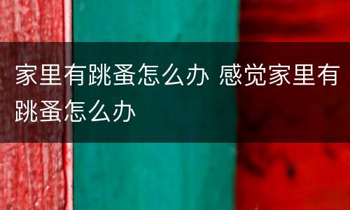 家里有跳蚤怎么办 感觉家里有跳蚤怎么办