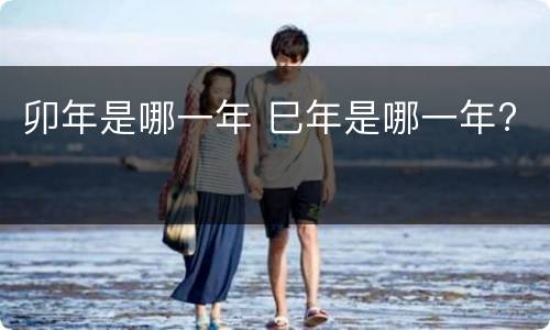 卯年是哪一年 巳年是哪一年?