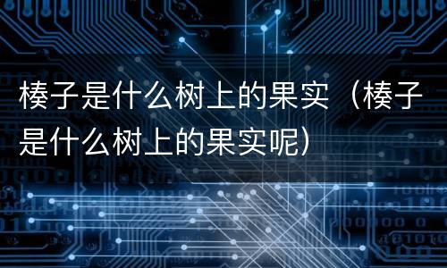楱子是什么树上的果实（楱子是什么树上的果实呢）