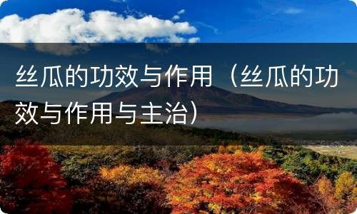 丝瓜的功效与作用（丝瓜的功效与作用与主治）